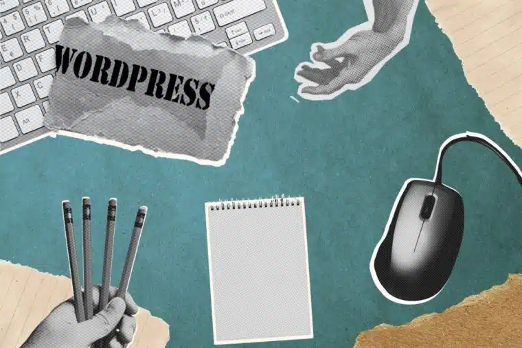 20+ Best WordPress Support Services: Explore Your Options